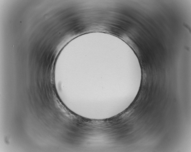 X0000098141052200805151135