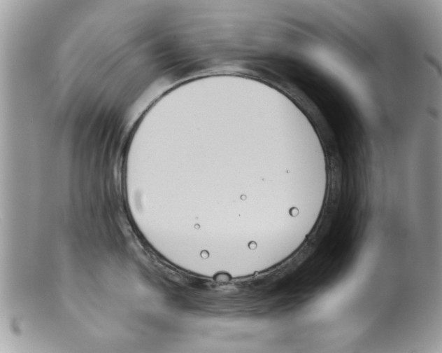 X0000098141054200805151135