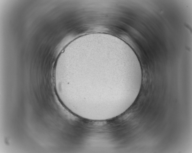 X0000098141055200805151135