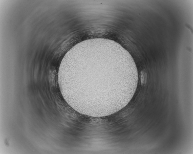 X0000098141059200805151135