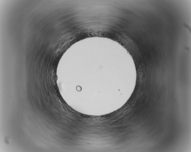 X0000098141060200805151135