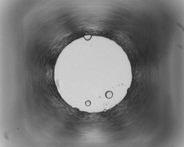 X0000098141061200805151135