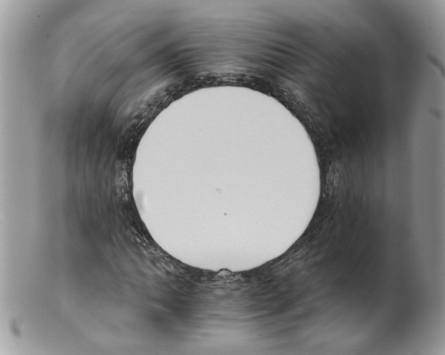 X0000098141062200805151135