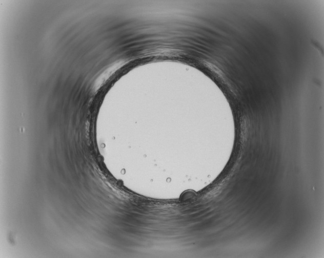 X0000098141066200805151134