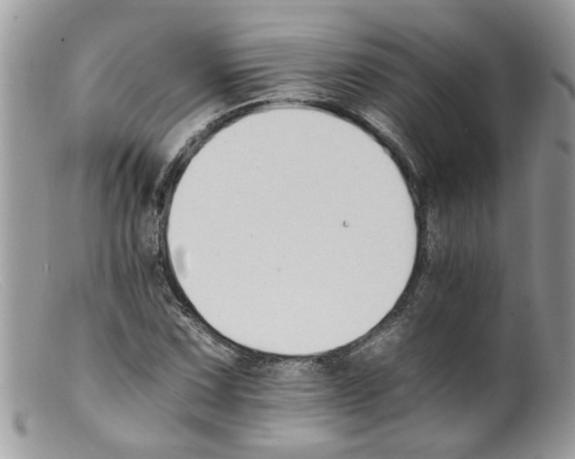 X0000098141067200805151134