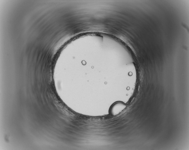 X0000098141069200805151134