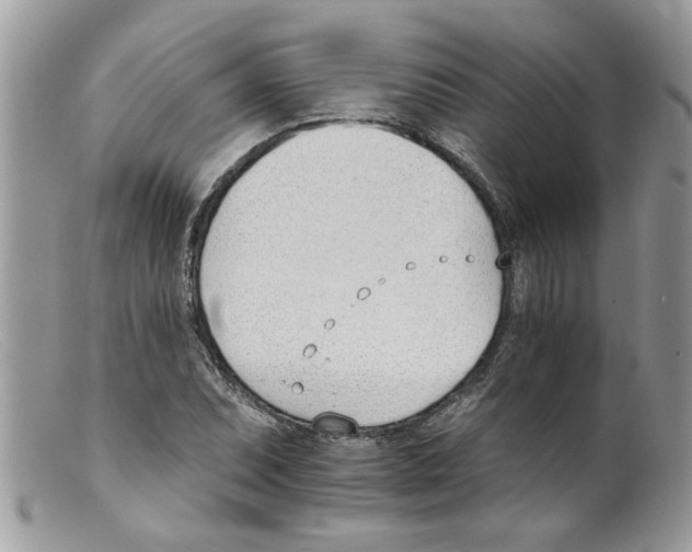 X0000098141071200805151134