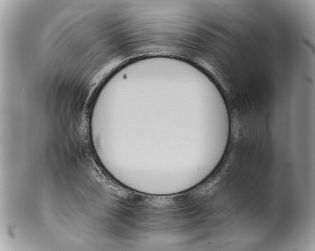 X0000098141074200805151134