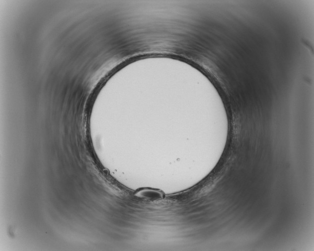 X0000098141077200805151134