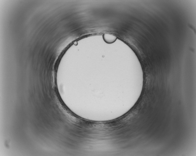 X0000098141079200805151134