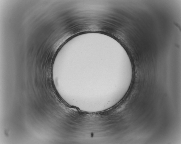 X0000098141081200805151134