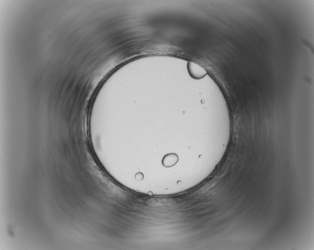 X0000098141083200805151134