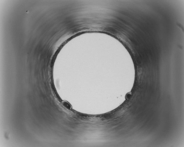 X0000098141085200805151134