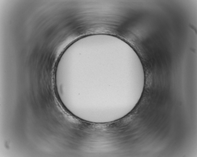 X0000098141086200805151134