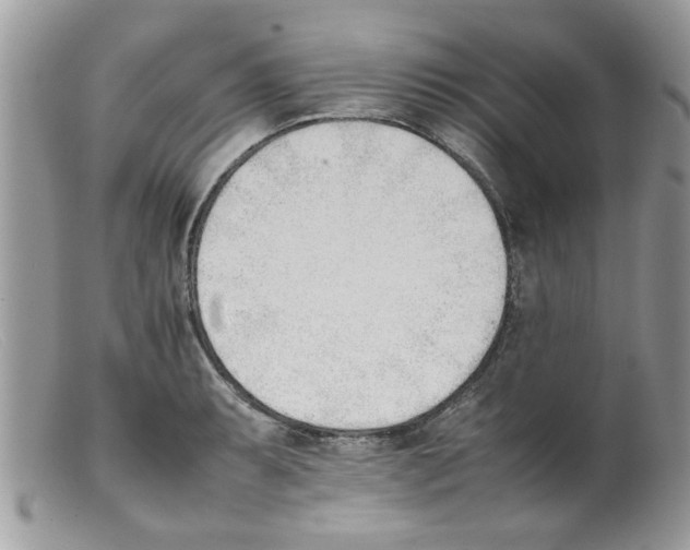 X0000098141087200805151134