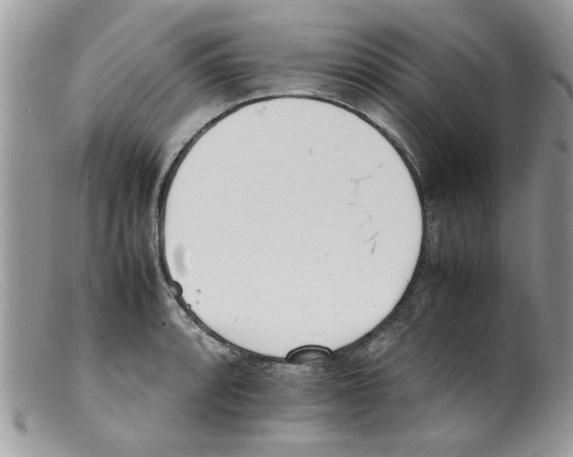 X0000098141088200805151134