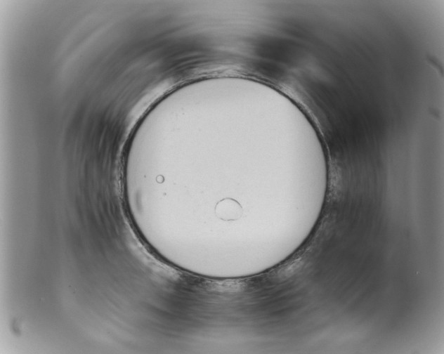 X0000098141090200805151134