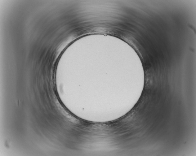 X0000098141091200805151134