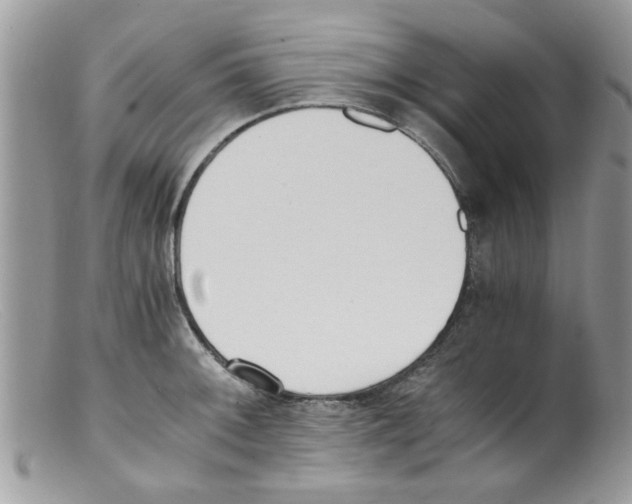 X0000098141092200805151134