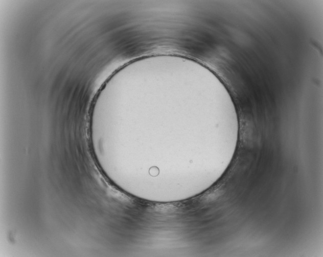 X0000098141094200805151134