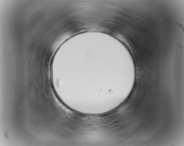 X0000098141095200805151134