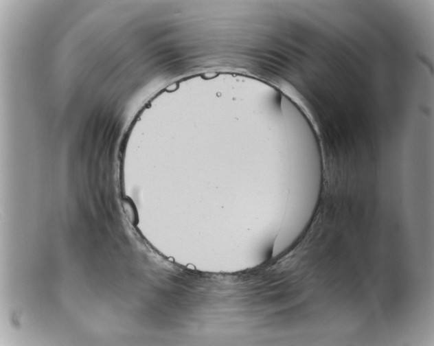 X0000098141096200805151134