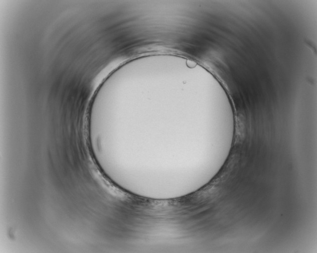 X0000098141098200805151134