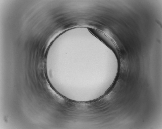 X0000098141100200805151134