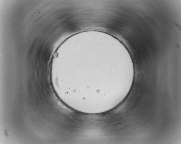 X0000098141102200805151134