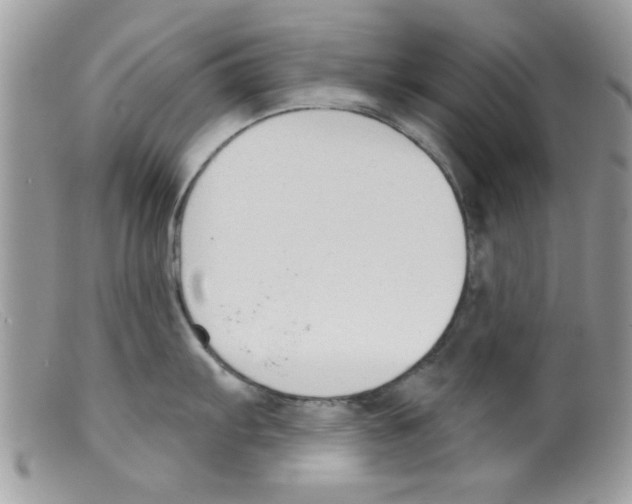 X0000098141103200805151134