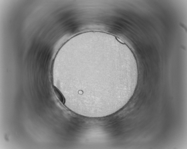 X0000098141104200805151134