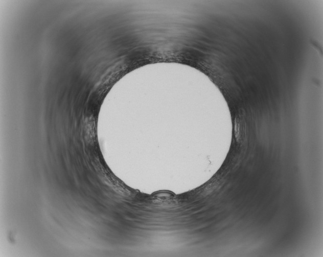 X0000098141107200805151133