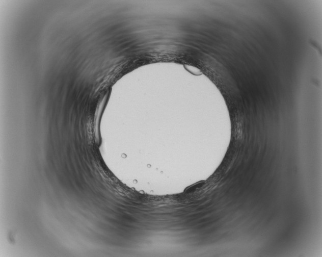 X0000098141108200805151133