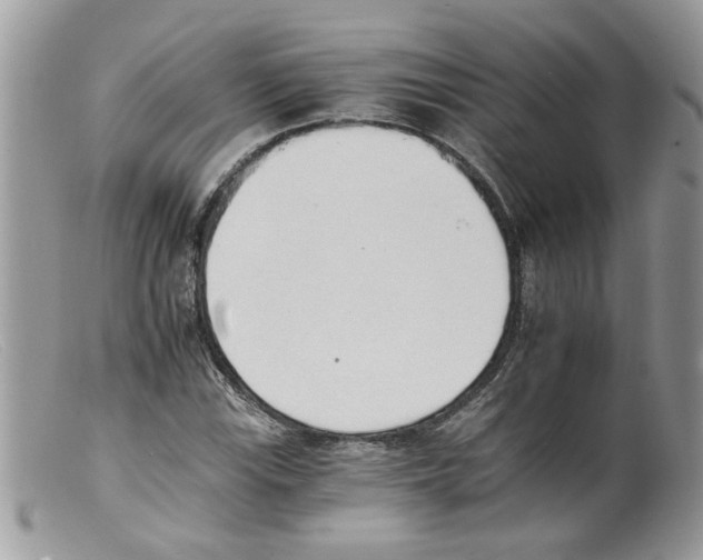 X0000098141115200805151133