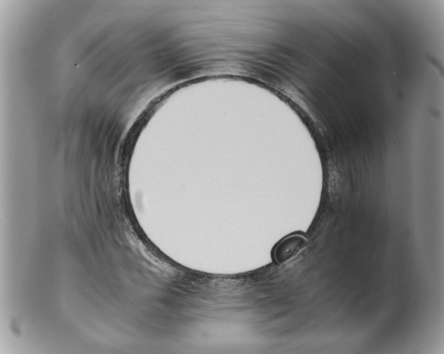 X0000098141116200805151133