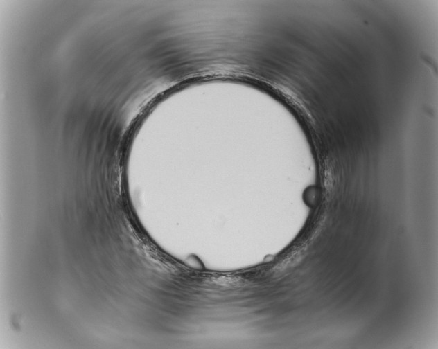 X0000098141117200805151133