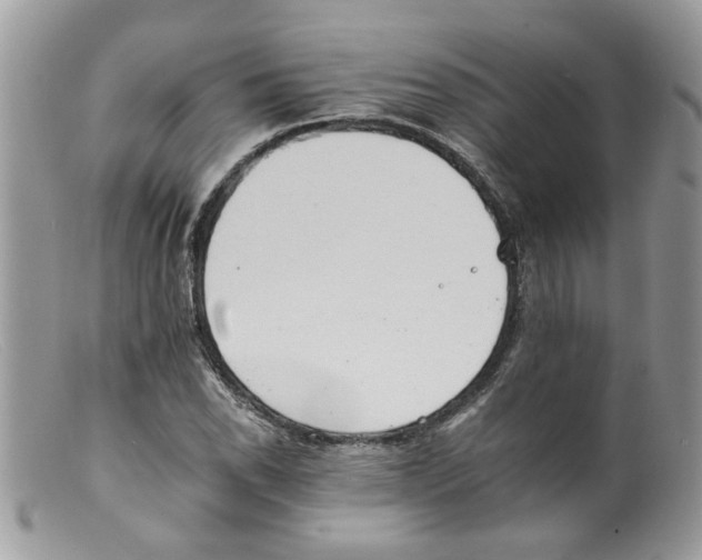 X0000098141118200805151133