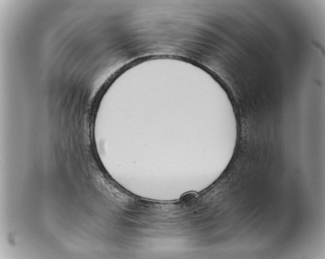 X0000098141120200805151133