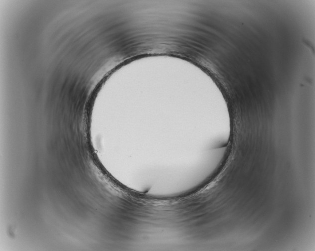 X0000098141122200805151133