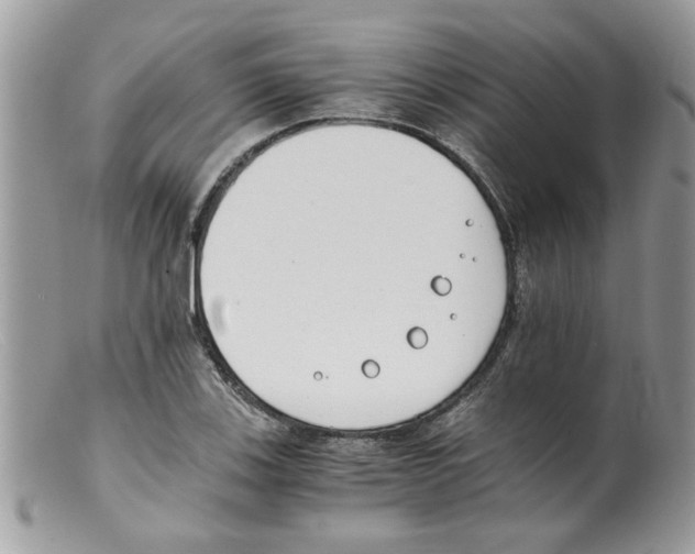 X0000098141123200805151133