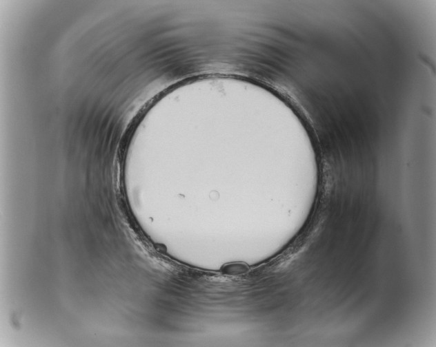 X0000098141125200805151133