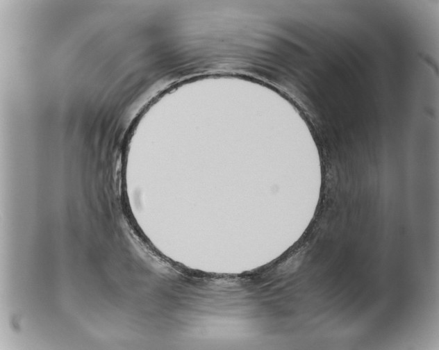 X0000098141126200805151133