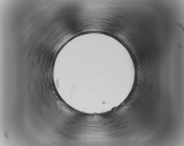 X0000098141129200805151133