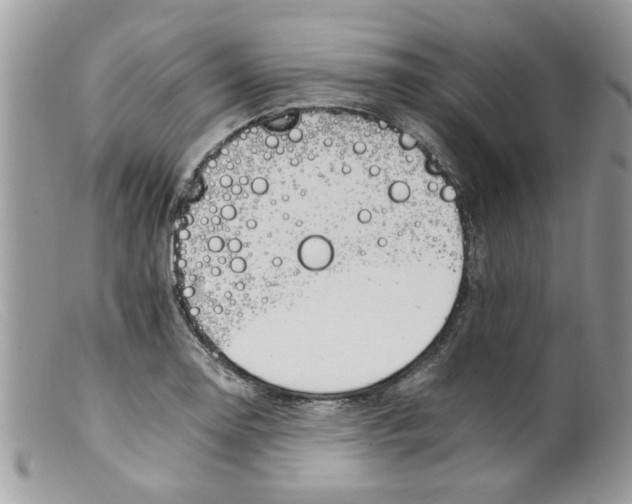 X0000098141130200805151133