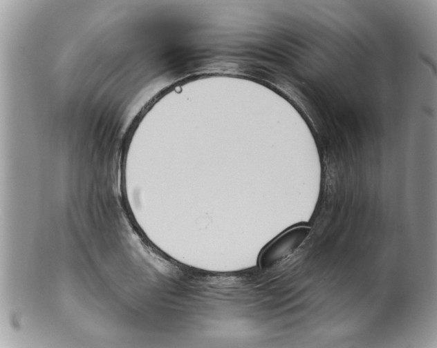 X0000098141131200805151133