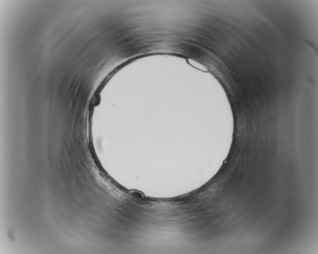 X0000098141132200805151133