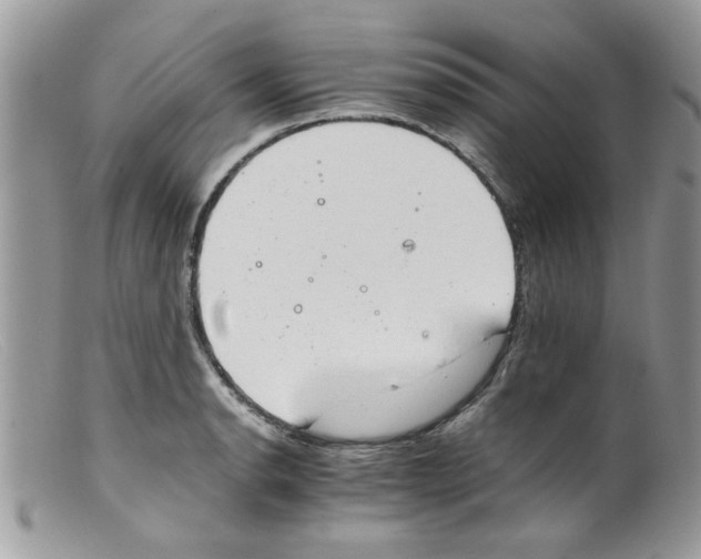 X0000098141134200805151134