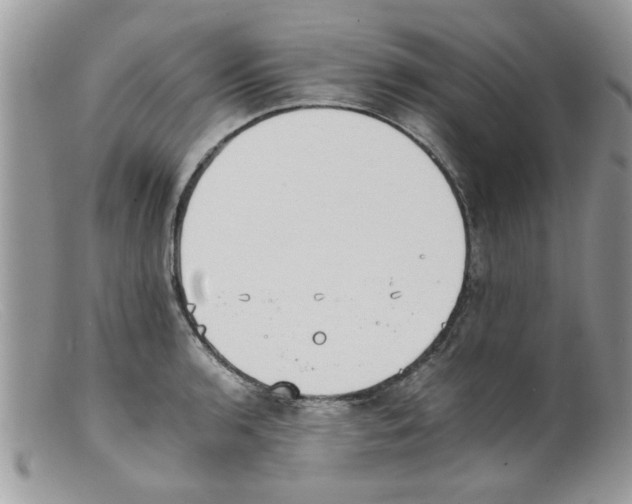 X0000098141136200805151134