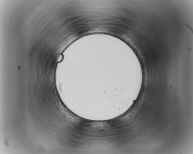 X0000098141137200805151134