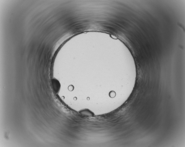 X0000098141138200805151134